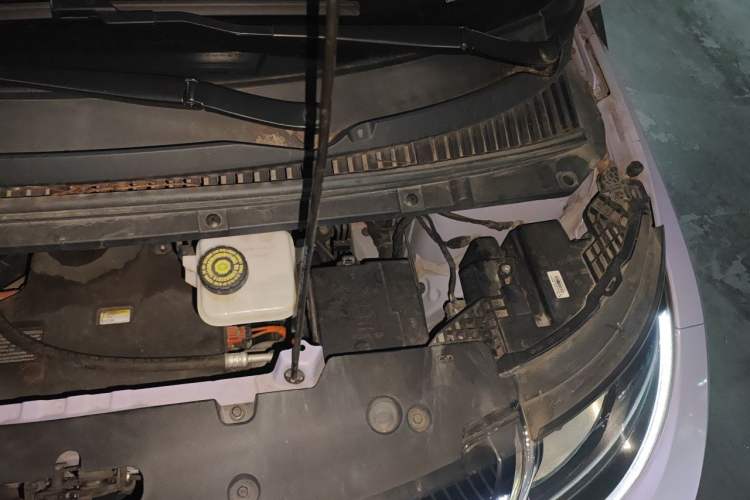 Used BYD Dolphin 2023 420 km Free Version Engine Bay Left
