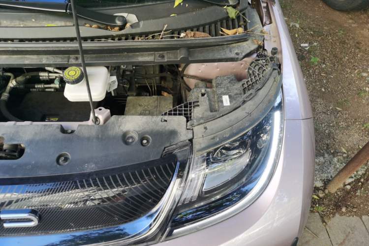 Used BYD Dolphin 2023 420 km Fashion Edition Engine Bay Left