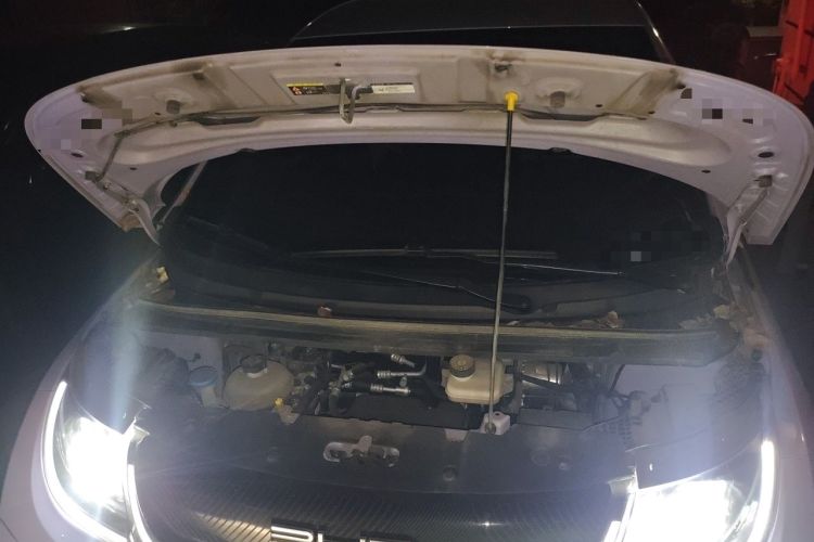 Used BYD Dolphin 2023 420 km Free Version Engine Bay
