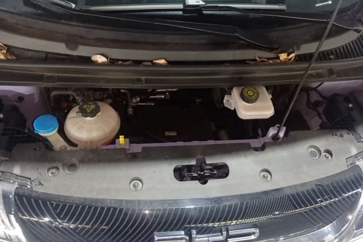 Used BYD Dolphin 2023 420 km Free Version Engine Bay