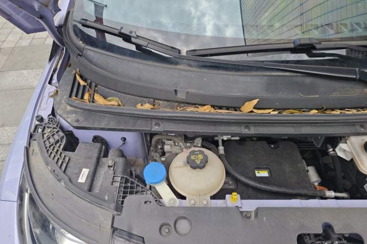 Used BYD Dolphin 2023 420 km Free Version Engine Bay Right