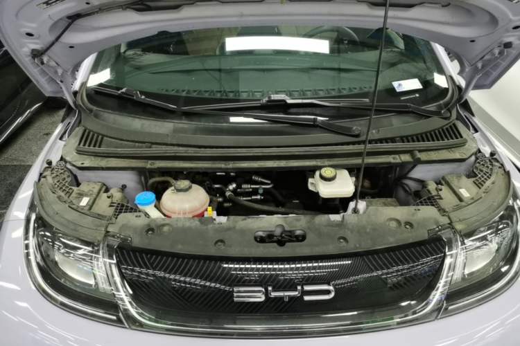 Used BYD Dolphin 2023 420 km Free Version Engine Bay