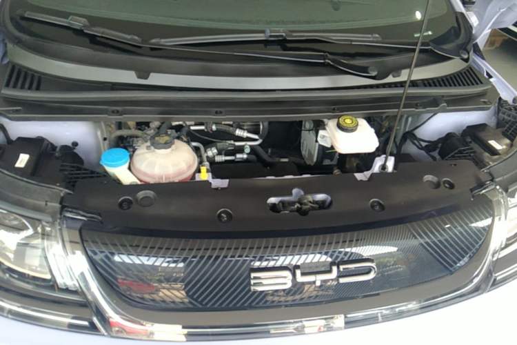 Used BYD Dolphin 2023 420 km Free Version Engine Bay