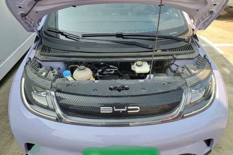Used BYD Dolphin 2023 420 km Free Version Engine Bay