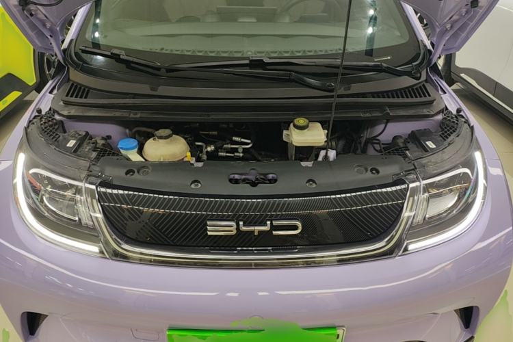 Used BYD Dolphin 2023 420 km Free Version Engine Bay
