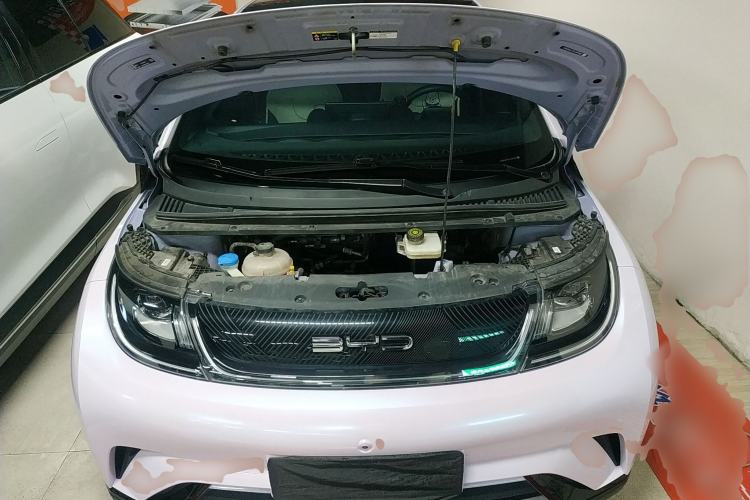 Used BYD Dolphin 2023 420 km Fashion Edition Engine Bay