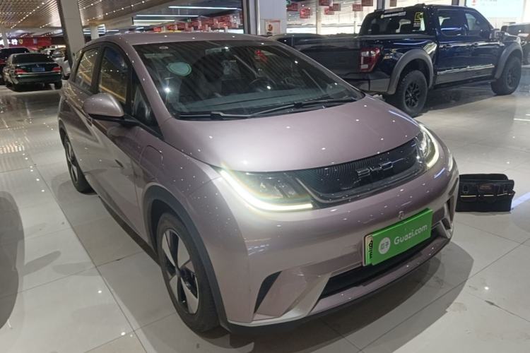 Used BYD Dolphin 2023 420 km Free Version Exterior 1