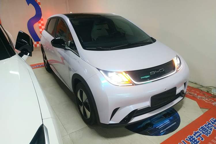 Used BYD Dolphin 2023 420 km Fashion Edition Exterior 1