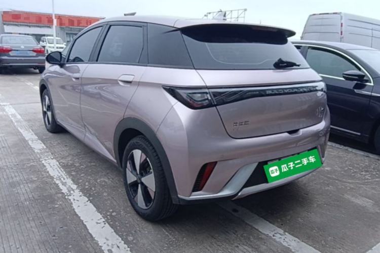 Used BYD Dolphin 2023 420 km Free Version Exterior 2