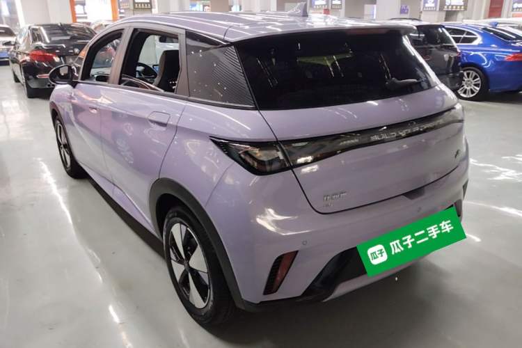 Used BYD Dolphin 2023 420 km Free Version Exterior 2