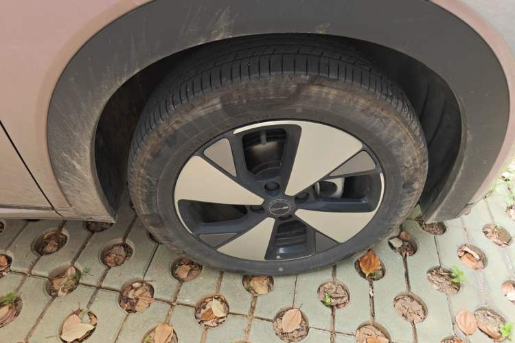 Used BYD Dolphin 2023 420 km Fashion Edition Exterior 7
