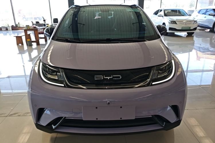 Used BYD Dolphin 2023 420 km Fashion Edition Front
