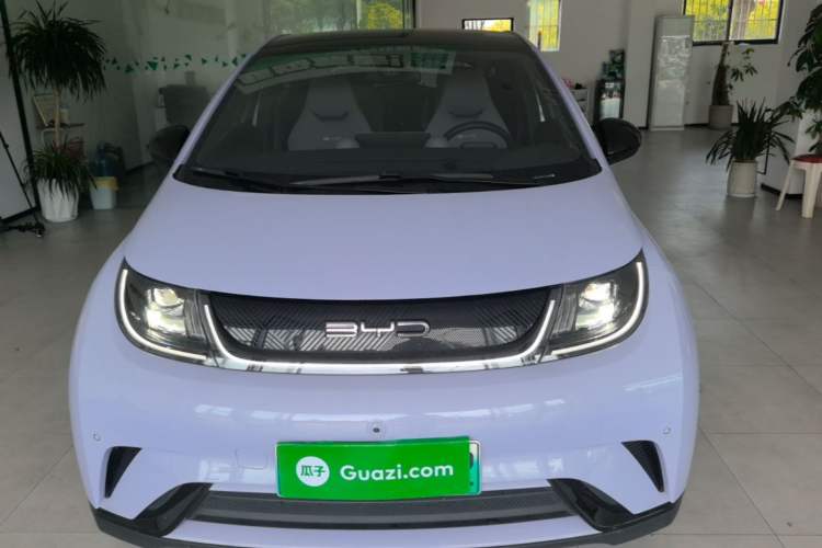 Used BYD Dolphin 2023 420 km Fashion Edition Front