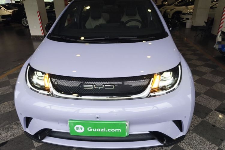 Used BYD Dolphin 2023 420 km Fashion Edition Front
