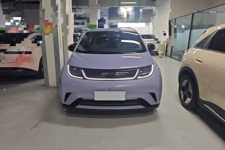 Used BYD Dolphin 2023 420 km Free Version Front