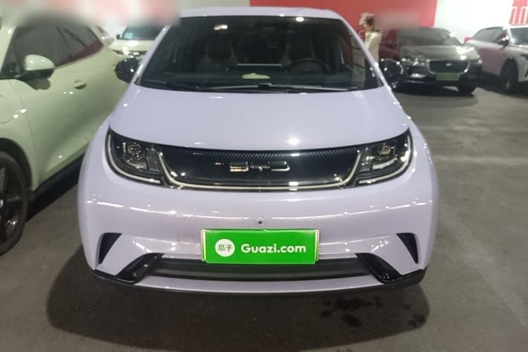 Used BYD Dolphin 2023 420 km Free Version Front