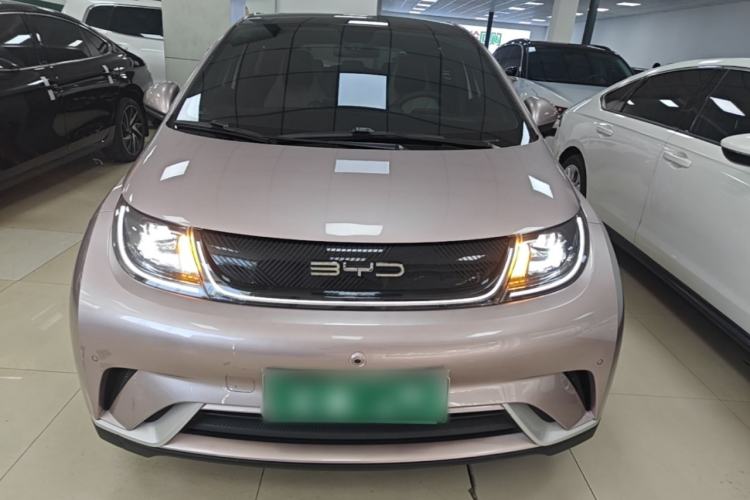 Used BYD Dolphin 2023 420 km Fashion Edition Front