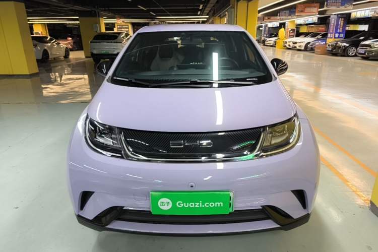 Used BYD Dolphin 2023 420 km Free Version Front