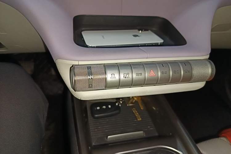 Used BYD Dolphin 2023 420 km Free Version Gear Lever