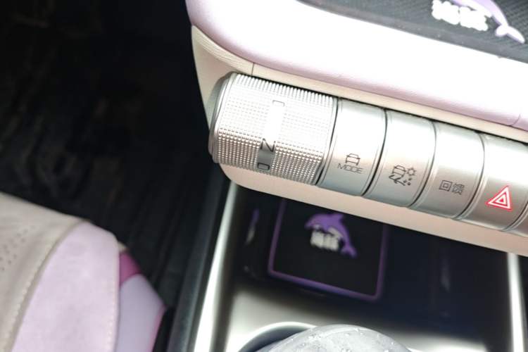 Used BYD Dolphin 2023 420 km Free Version Gear Lever