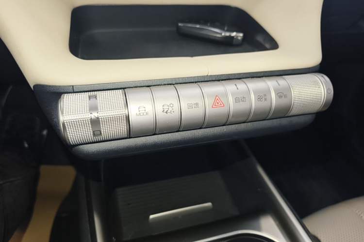 Used BYD Dolphin 2023 420 km Fashion Edition Gear Lever