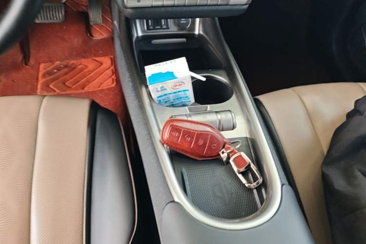 Used BYD Dolphin 2023 420 km Fashion Edition Gear Lever