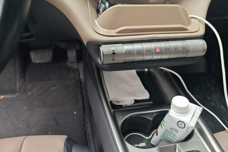Used BYD Dolphin 2023 420 km Free Version Gear Lever