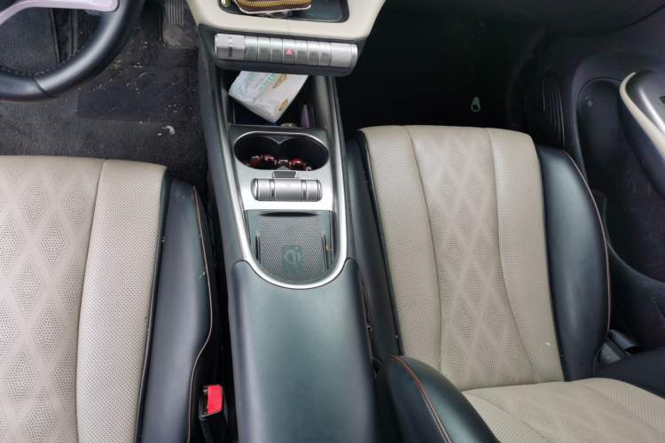 Used BYD Dolphin 2023 420 km Free Version Gear Lever