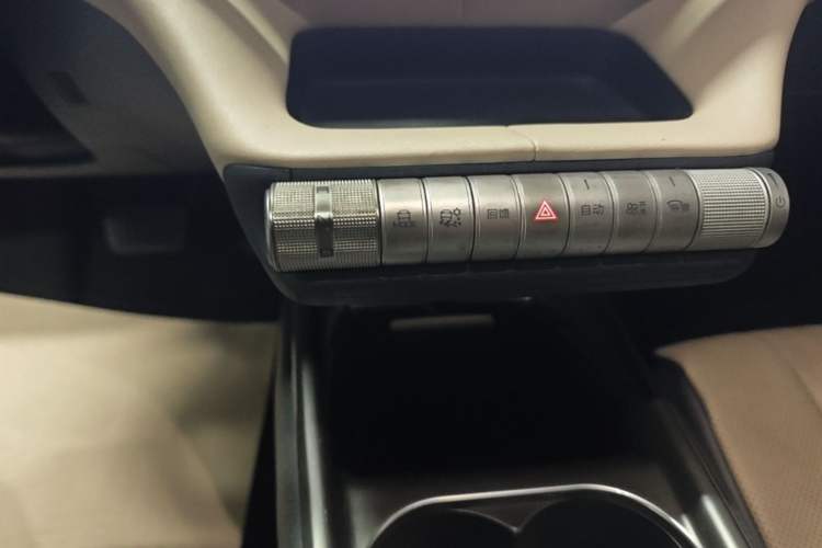 Used BYD Dolphin 2023 420 km Free Version Gear Lever