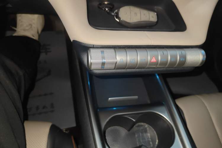 Used BYD Dolphin 2023 420 km Free Version Gear Lever