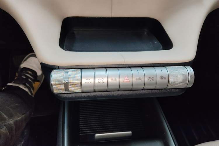 Used BYD Dolphin 2023 420 km Free Version Gear Lever