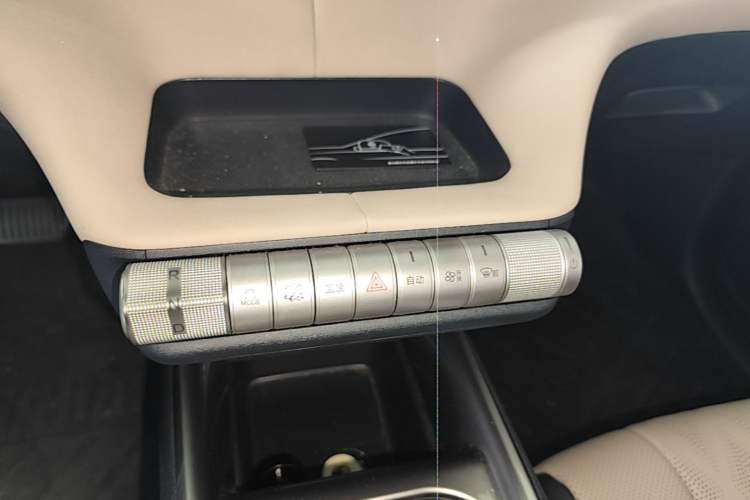 Used BYD Dolphin 2023 420 km Fashion Edition Gear Lever