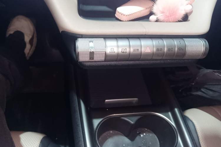 Used BYD Dolphin 2023 420 km Free Version Gear Lever