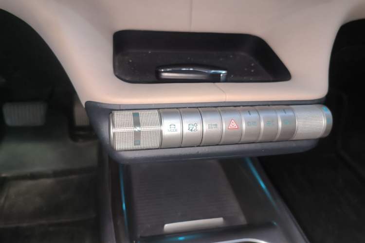 Used BYD Dolphin 2023 420 km Free Version Gear Lever