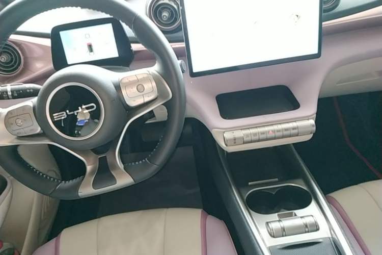 Used BYD Dolphin 2023 420 km Fashion Edition Gear Lever