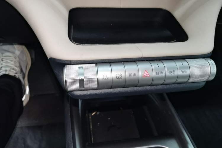 Used BYD Dolphin 2023 420 km Free Version Gear Lever