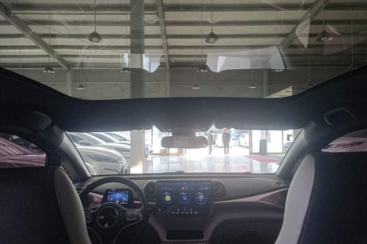 Used BYD Dolphin 2023 420 km Fashion Edition Headliner