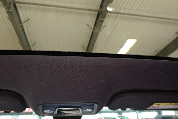 Used BYD Dolphin 2023 420 km Fashion Edition Headliner
