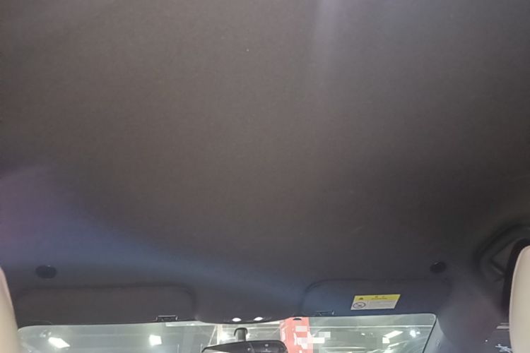 Used BYD Dolphin 2023 420 km Free Version Headliner