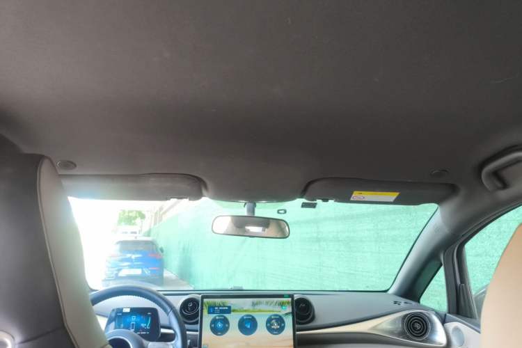 Used BYD Dolphin 2023 420 km Free Version Headliner