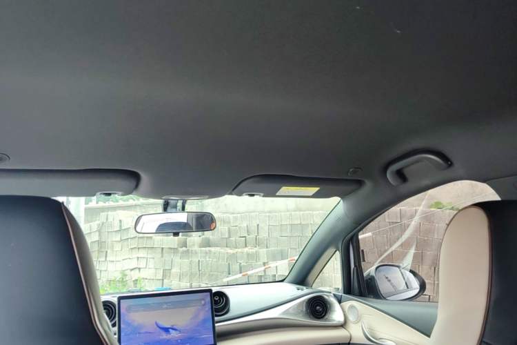 Used BYD Dolphin 2023 420 km Free Version Headliner