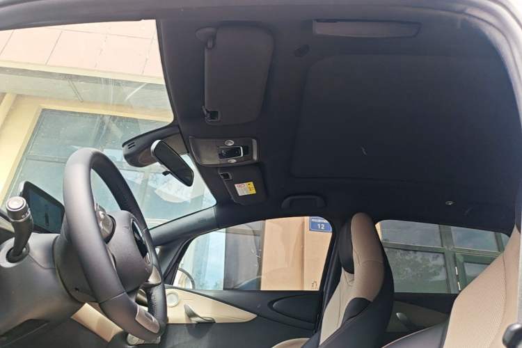 Used BYD Dolphin 2023 420 km Fashion Edition Headliner