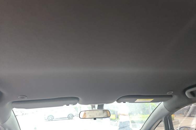 Used BYD Dolphin 2023 420 km Free Version Headliner