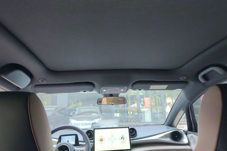 Used BYD Dolphin 2023 420 km Fashion Edition Headliner
