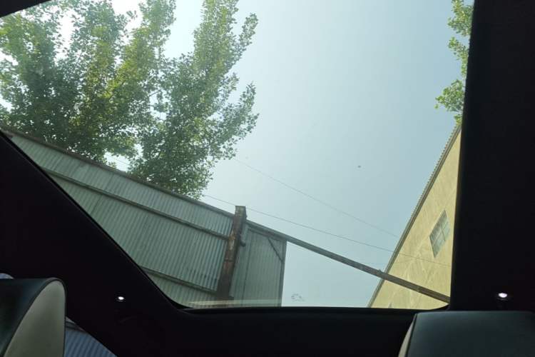 Used BYD Dolphin 2023 420 km Fashion Edition Headliner