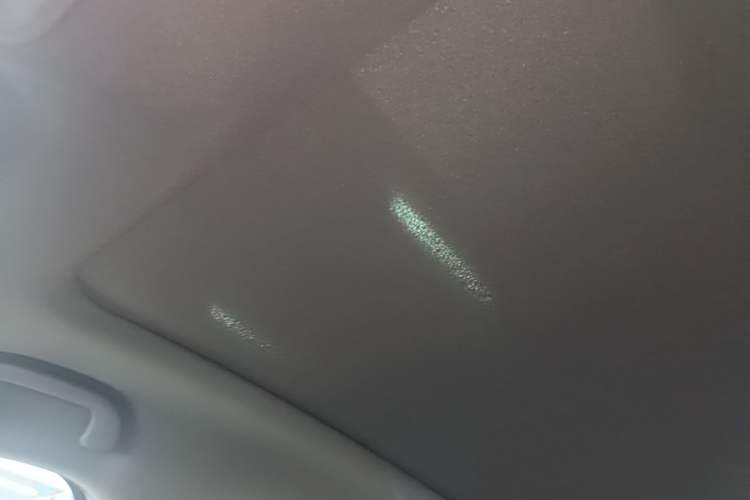 Used BYD Dolphin 2023 420 km Fashion Edition Headliner