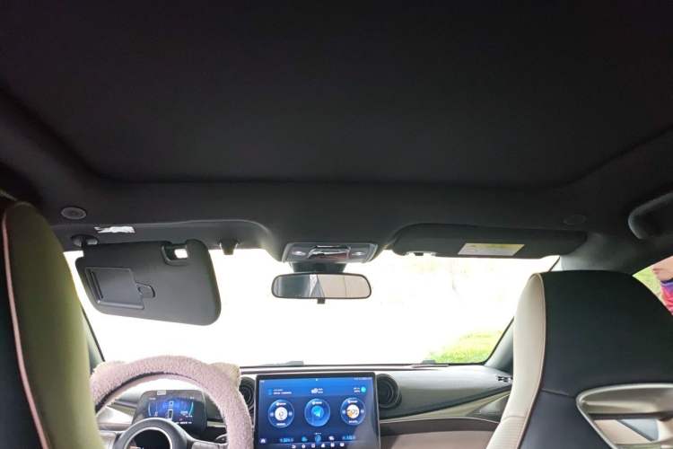 Used BYD Dolphin 2023 420 km Fashion Edition Headliner