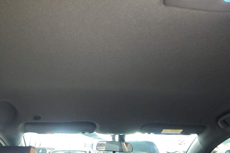 Used BYD Dolphin 2023 420 km Free Version Headliner