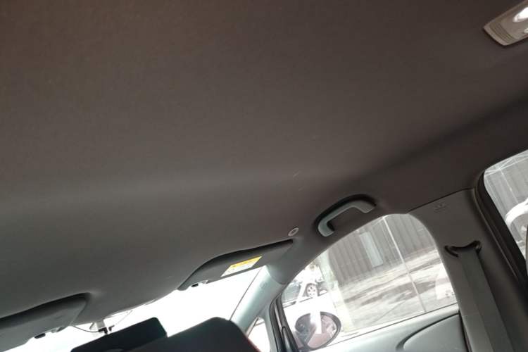 Used BYD Dolphin 2023 420 km Free Version Headliner