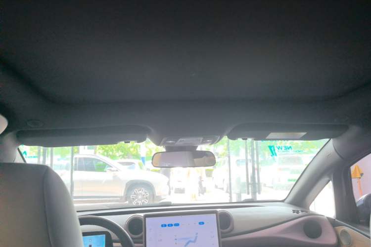 Used BYD Dolphin 2023 420 km Fashion Edition Headliner